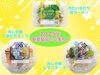 「２０２５年春夏製品のご紹介❗ 第５弾❗❗」