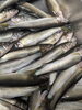「【魚も酒も自ら厳選する瑞江の小料理屋】」
