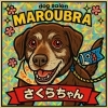 DOGトリミング講座テキスト&DVDセット DOGトリミング講座テキスト&DVDセット 犬用品ABCDog - Yahoo