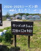 「2024-2025シーズン、いちご直売終了しました！[日進市のいちご直売専門店rikkefarm]」
