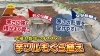 「【春先の温度格差に負けない！】モグラのように地中に挿して、いち早く芋ツルを根付かせる方法（モグラ植え栽培）たねのハシモトミヤ」