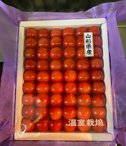山形県産 さくらんぼ「母の日のプレゼントにいかがですか🎁✨ 枚方ビオルネ地下1階 新鮮果実 日野屋」
