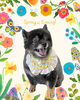「Dog salon mofu mofu　余市町」