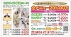 「セルライト撃退コースで「もっと早く来ればよかった！」のお声もいただいております✨」