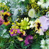 季節の花はフレッシュ感が増します！「季節の花たちを愛でる」