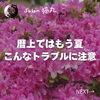 「暦上ではもう夏！動悸や息切れ、不眠やめまいなどにご注意（=^ェ^=) 整体・オイル・リーディング・占い・顔そり・氣功」