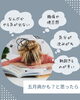 酸素ドームで症状を改善しませんか✨「もしかすると五月病かも・・？」