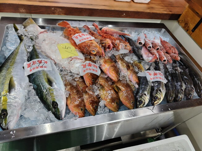 今日のお魚です「【今日のお魚情報】」