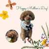 「Dog salon mofu mofu　余市町」