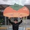 野菜が高い…！