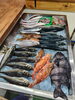 「【今日のお魚】」