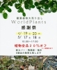 「【5月17日・18日開催】観葉植物大売り出し🉐」