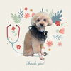 「Dog salon mofu mofu　余市町」