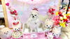 「5月14日は看板犬ミルキーの２才のお誕生日♪」