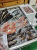 「📣本日入荷のお魚🐟」