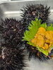 「【魚も酒も自ら厳選する瑞江の小料理屋】」
