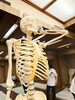セミナーの主役、太郎君です🤭「カイロプラクター資格取得セミナー開催🍀」