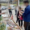 「5/18 市場の日イベント開催中！」