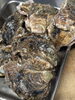「【魚も酒も自ら厳選する瑞江の小料理屋】」