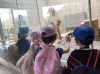 ルールを守ってしっかり見学！「【児発・放デイ】円山動物園へ行ってきました🐘【札幌北区児童デイサービスこぱんはうすさくら札幌太平教室】」