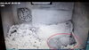 母ハクと2頭の仔（赤い丸部分が仔）「ヨツユビハリネズミ🦔の赤ちゃんが生まれました！」