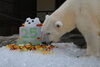 「ピース26歳の誕生会は12/6（土）予定です。」