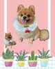 「Dog salon mofu mofu　余市町」