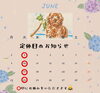 定休日のお知らせ「【5月28日（水）臨時休業のお知らせ】」