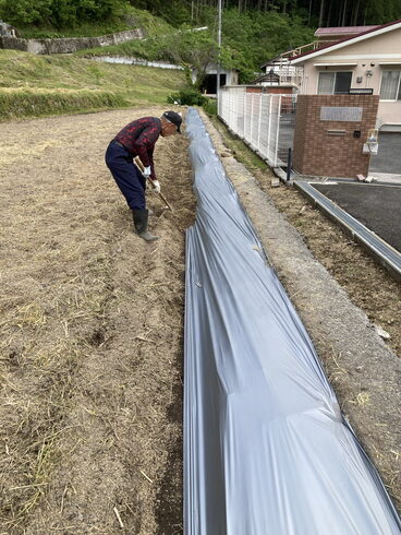 私たちと全然違うスピードと仕上がりです。年季の違い「コスモスとひまわりの種まきしました。」
