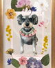 「Dog salon mofu mofu　余市町」