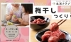 「子育てひろば　季節の手仕事♪みんなで楽しく梅干しつくり」