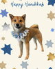 「Dog salon mofu mofu　余市町」
