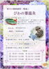 6月のご案内「6月のドッグマッサージ+愛犬べるべるくんお誕生会」