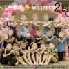 メンバー募集！６月中なら無料体験２回(金、水、土)各クラス興味があれば６回受けられます！！！