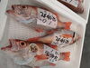 美宝「我らのブランド魚」