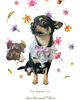 「Dog salon mofu mofu　余市町」