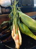 夏の旬野菜いろいろ「夏野菜」