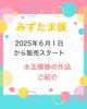 「中葛西にある雑貨屋　しましまです。」