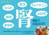 腎「慢性腎不全—中医学から見る「腎」のケア【津田沼・習志野エリアの漢方薬局】」