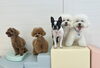 もっぷくん♡くまくん♡ぽん＆ぱんちゃん♡るいくん「ましゅまろ幼稚園🐾」