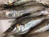 銚子で揚がったメヒカリ「めひかり」