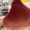 今週おすすめ！定番人気の赤身と中トロをぜひご賞味ください