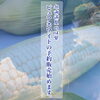 「ピュアホワイトの予約販売始めます🌽」