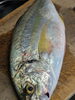 「【魚も酒も自ら厳選する瑞江の小料理屋】」