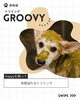 「💖岸和田のトリミングサロン【Groovy】🐶」