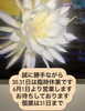「臨時休業のお知らせ🙇【福井韓国風カフェ Hugpopo ハグポポ】」