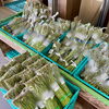 「地元産わらび・フキ並びます！道の駅木曽福島」