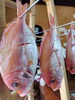 「お刺身情報🐟」