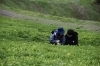 「絶景と山野草を楽しむ散策」