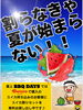 スイカ割り❗️「夏の風物詩スイカ割り🍉‼️」